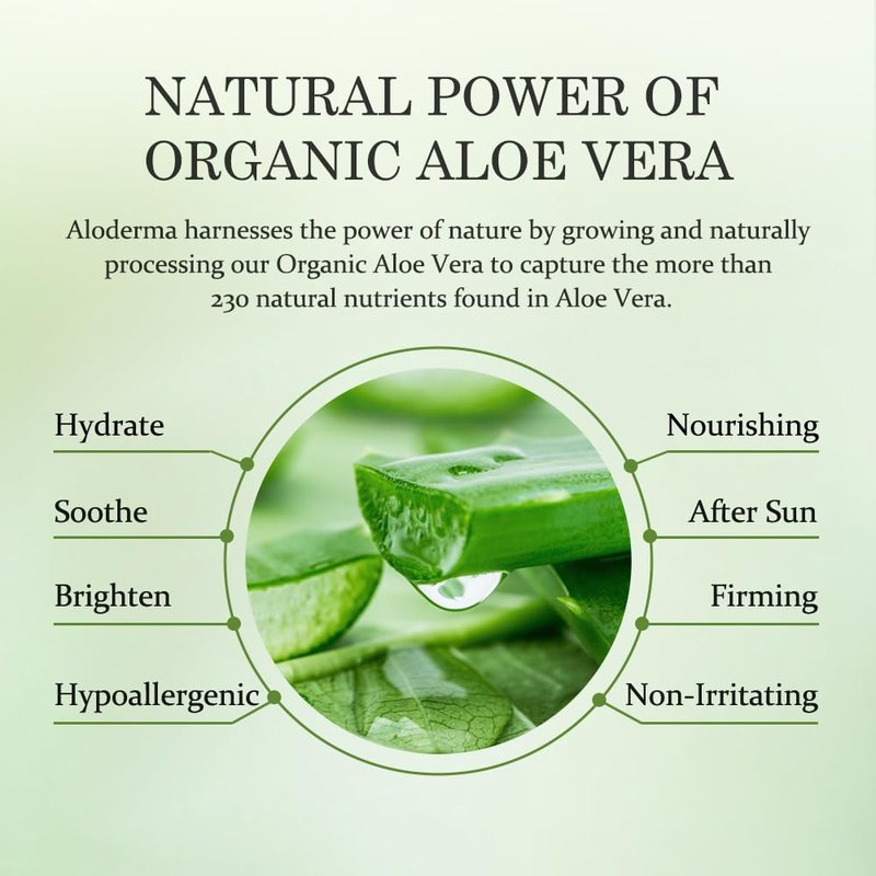 Aloderma Firming Cream for Face and Neck with 62% Organic Aloe Vera - Firming Face Cream with Hyaluronic Acid & Carnosine - Natural Renewing Aloe Face Cream - Instantly Hydrate & Plump Skin, 1.7oz