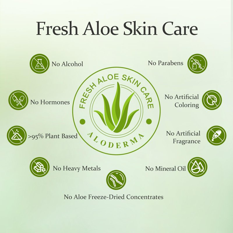 Aloderma Firming Cream for Face and Neck with 62% Organic Aloe Vera - Firming Face Cream with Hyaluronic Acid & Carnosine - Natural Renewing Aloe Face Cream - Instantly Hydrate & Plump Skin, 1.7oz